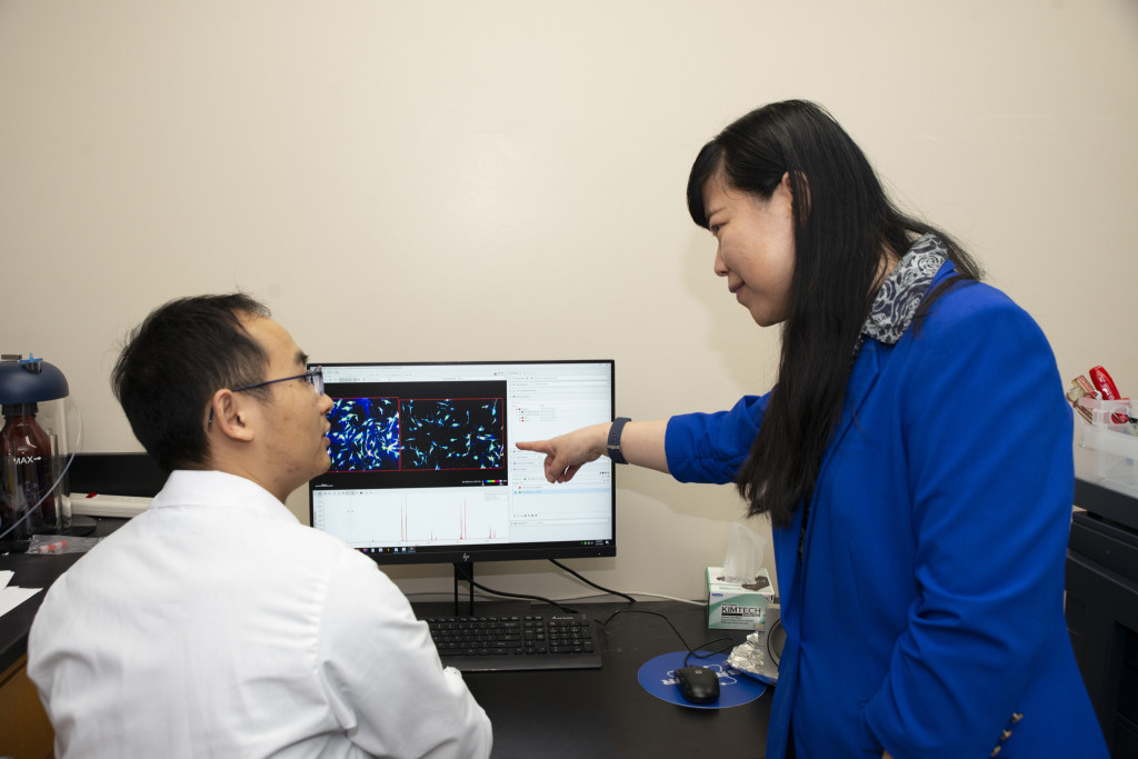Hua Zhang sits at a computer while Lingjun Li stands beside him and points to an image of a molecule on the screen.