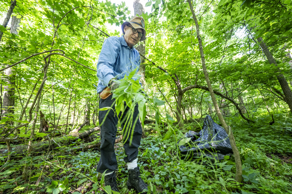 Smith stands in the forest and holds a bundle of brush in his hands, pointing it at the camera.