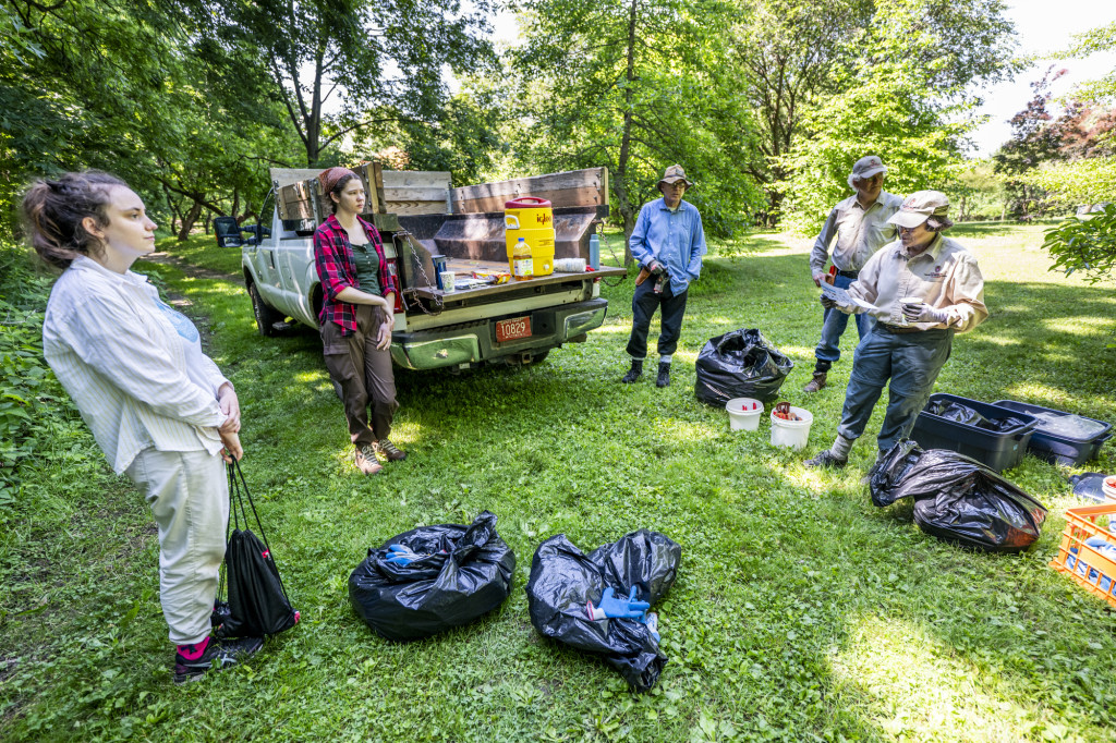 Four people stand in a semicircle listening to Wulfsberg read instructions from a paper in her hand. The four volunteers stand in the field with her as they listen to their plans for the day.