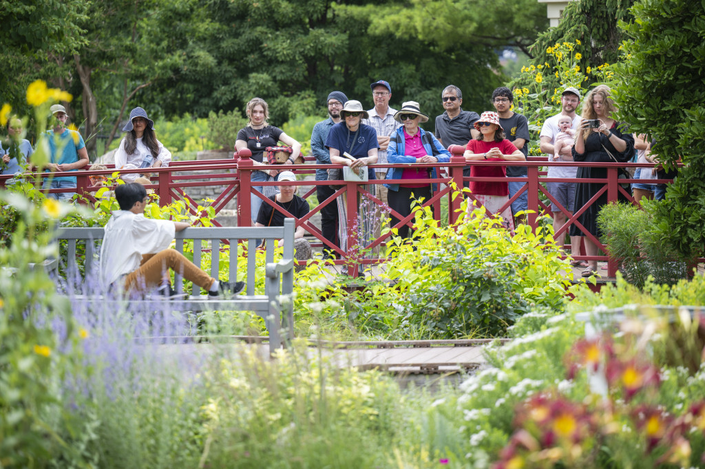 A group of people watch a performance in a garden.