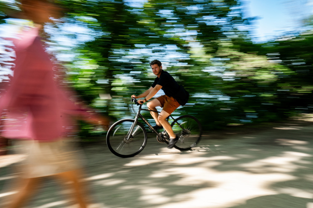 A cyclist rides on a tree-lined path.
