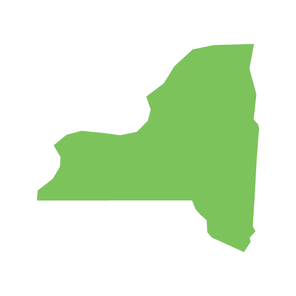 A green silhouette of the state of New York.