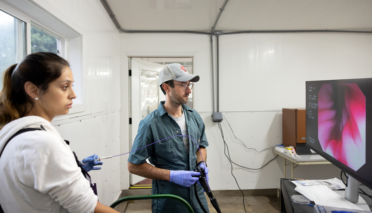 Mancheno Valarez and Rostoll-Cangiano stand in front of a TV watching as the screen displays images from inside a cow. 