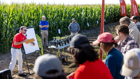 Werle stands in front of a corn field. He points to a white board and explains his research to the crowd sitting before him.