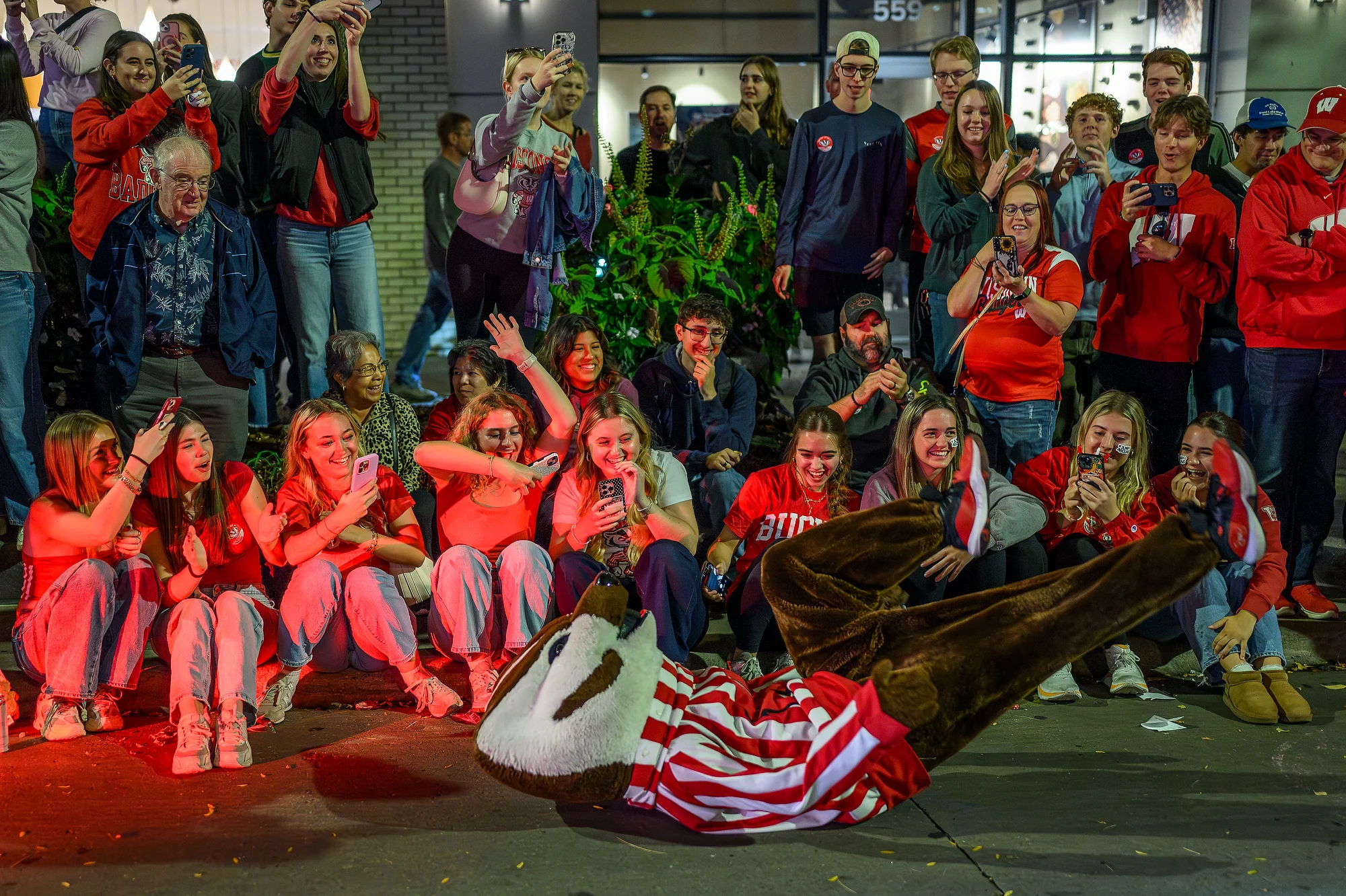 Bucky Badger lies on the ground to the amusement of a laughing crowd on State Street, delighting fans during the Homecoming celebration.