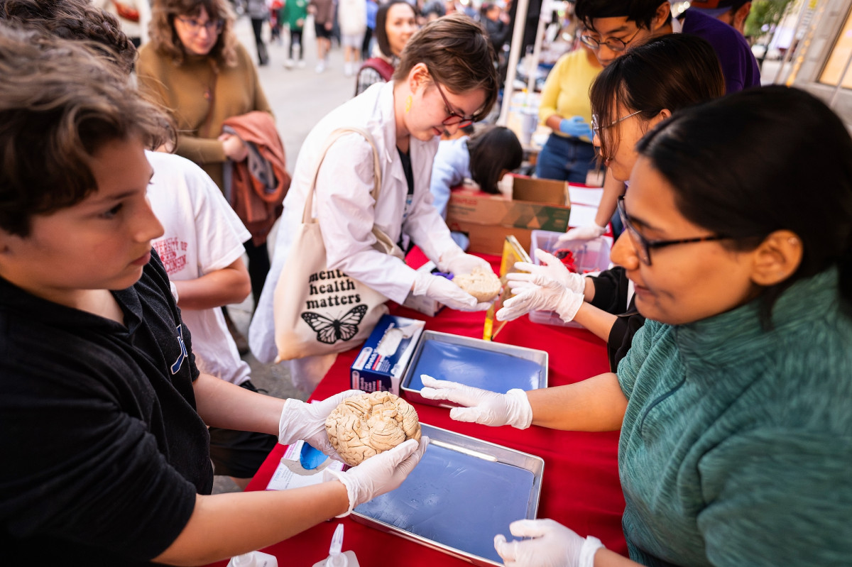 Graduate students and booth visitors crowd around a display table. They're all wearing rubber golves and handling real human brains.
