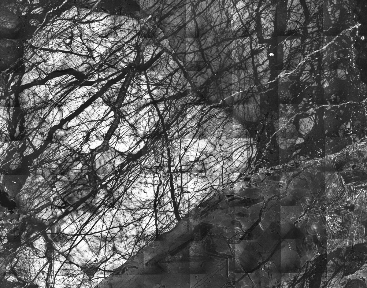 Under a microscope, a sample of quartz better resembles a black and white photo of a tree's twiggy branches.