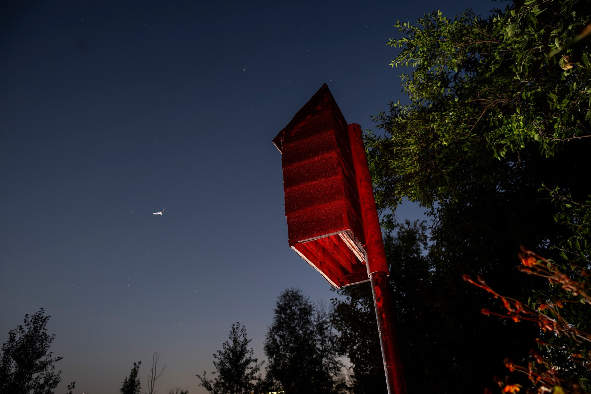 A bat house and one lone bat flying in the night sky
