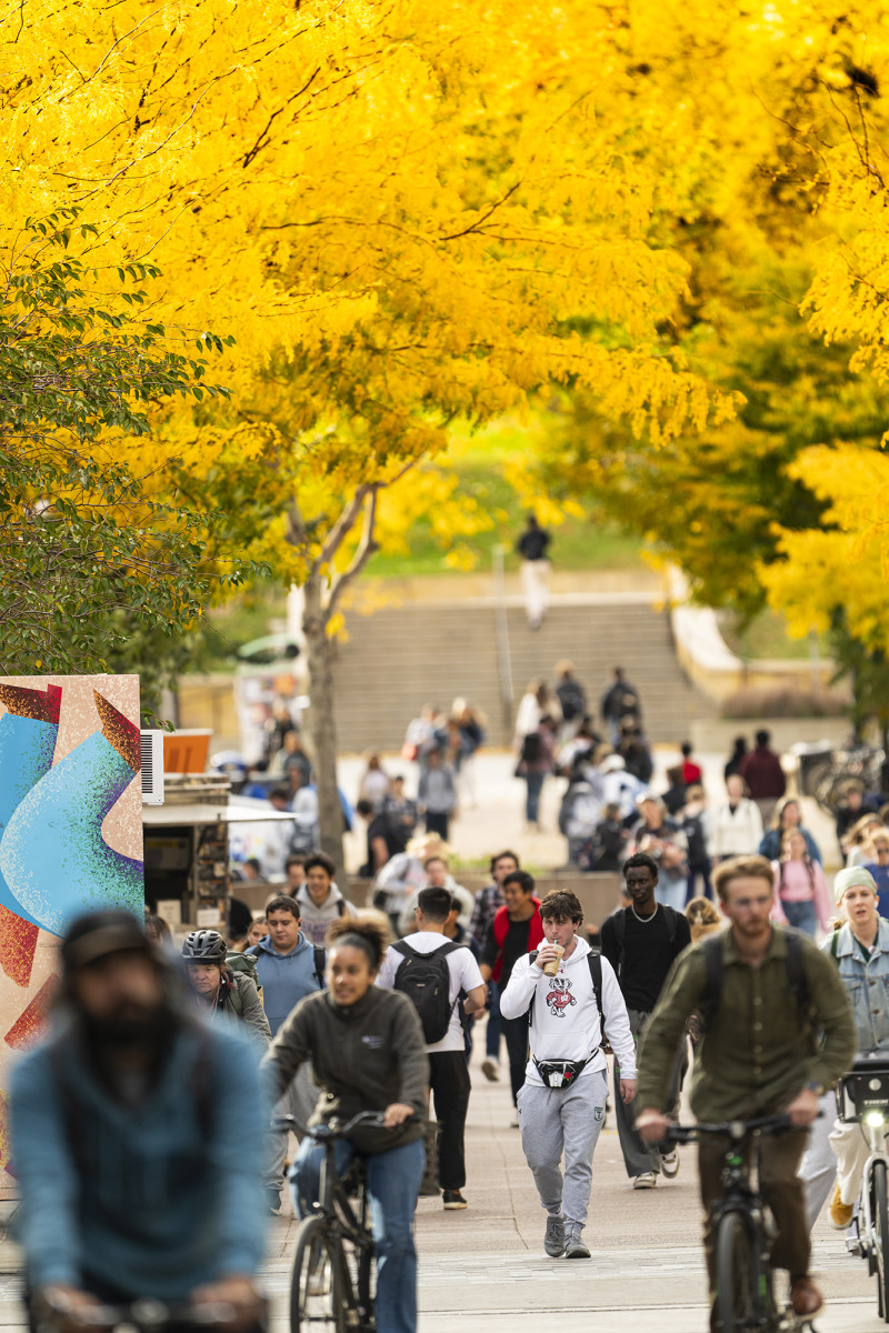 Many pedestrians and bikers in motion with a canopy of yellow leaves above them