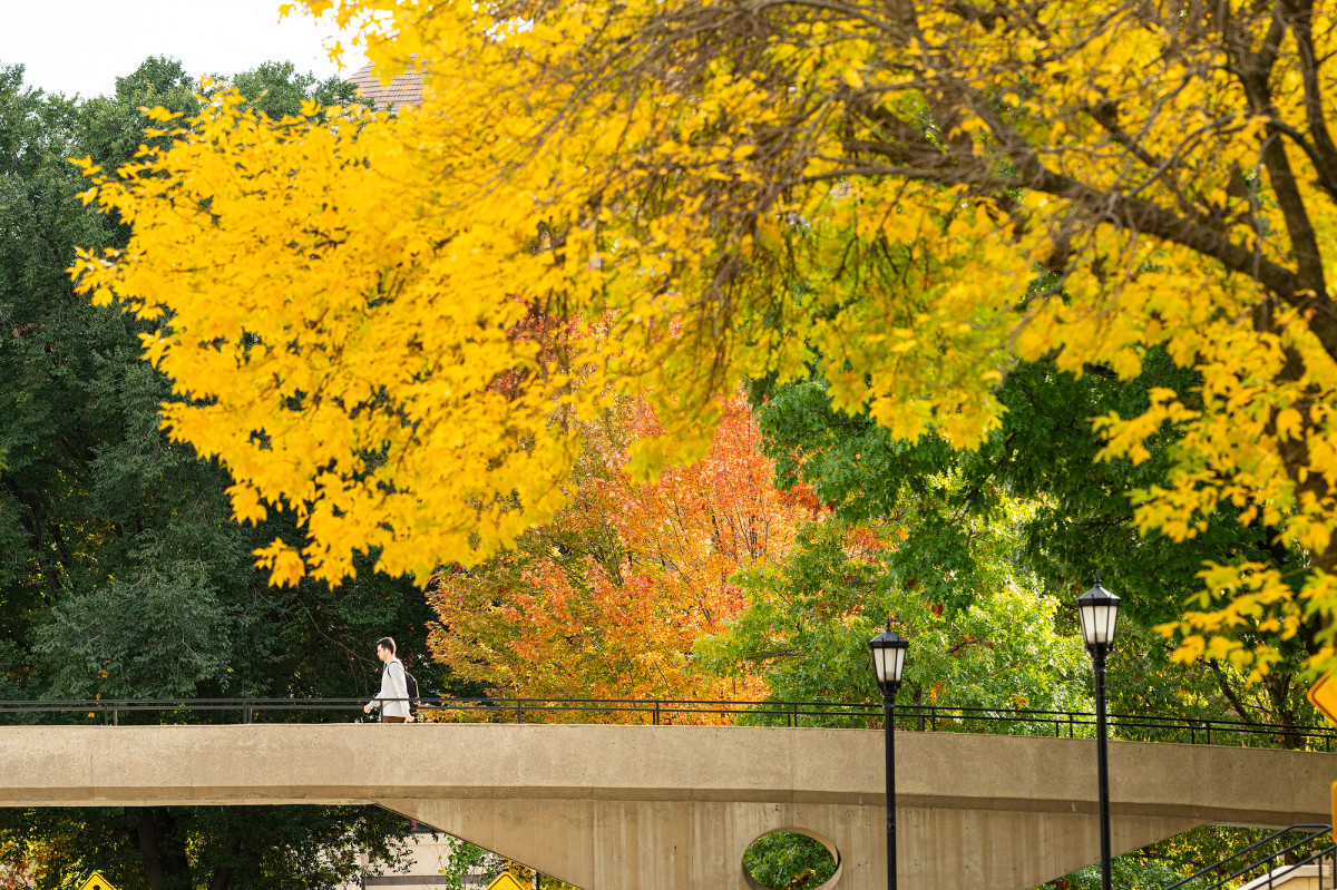 A person walking on a bridge surrounded by trees with colorful fall leaves