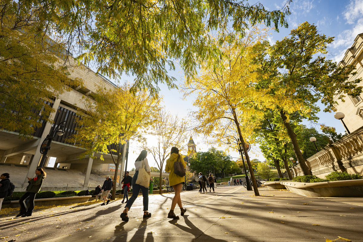 Students walking on campus with sunlight shining through trees