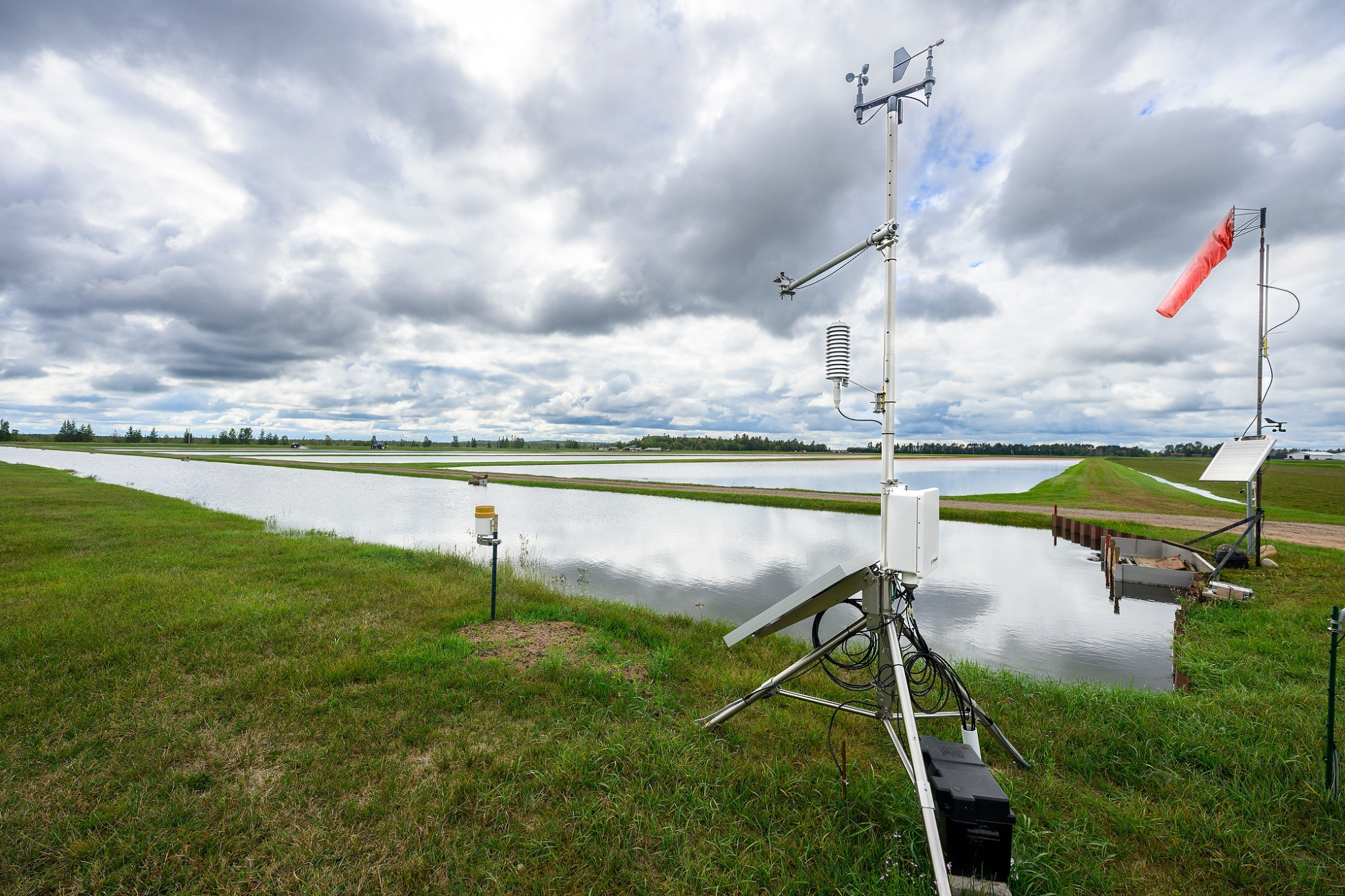 A Wisconet station - two slender metal posts fitted with weather sensing equipment - sits at the edge of a cranberry bog. 