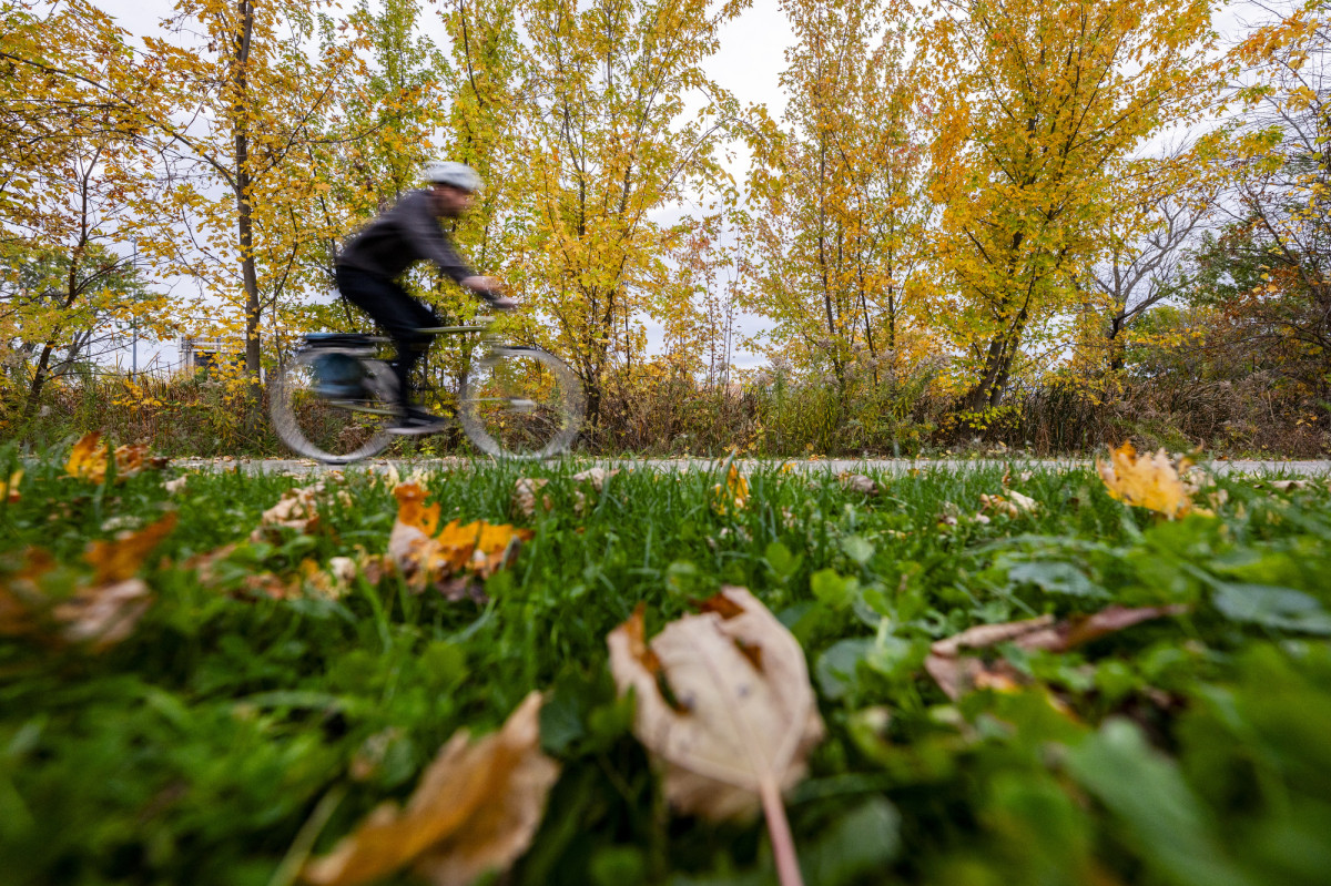 A person on a bicycle with leaves and grass in the foreground