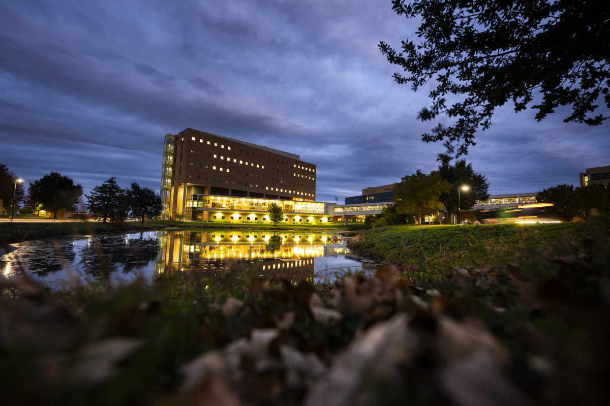 Illuminated building at night