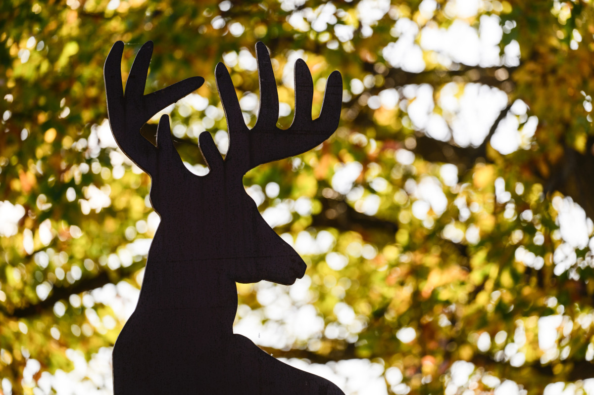 Silhouette of a metal deer cutout with fall leaves on trees in the background