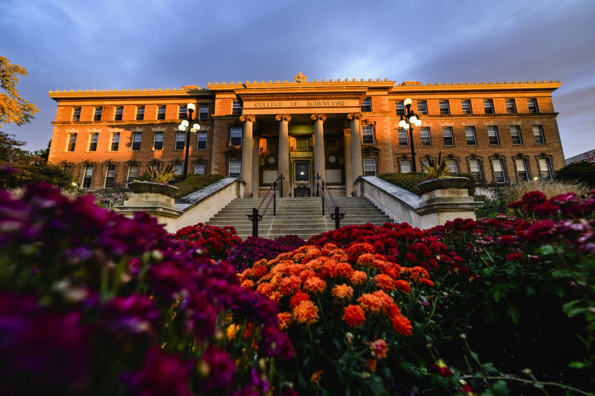 Historic building in the glow of sunlight with flowers in the foreground