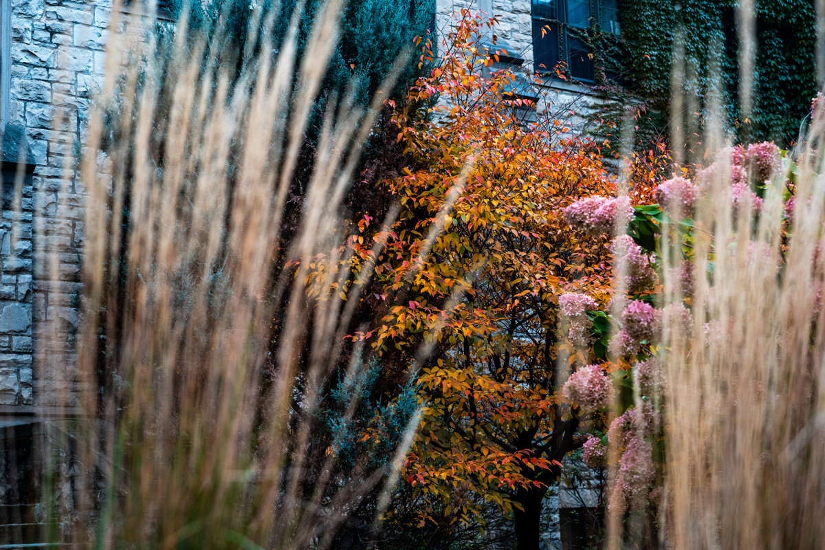 Mix of colorful fall leaves, flowers, and grasses in front of a stone building