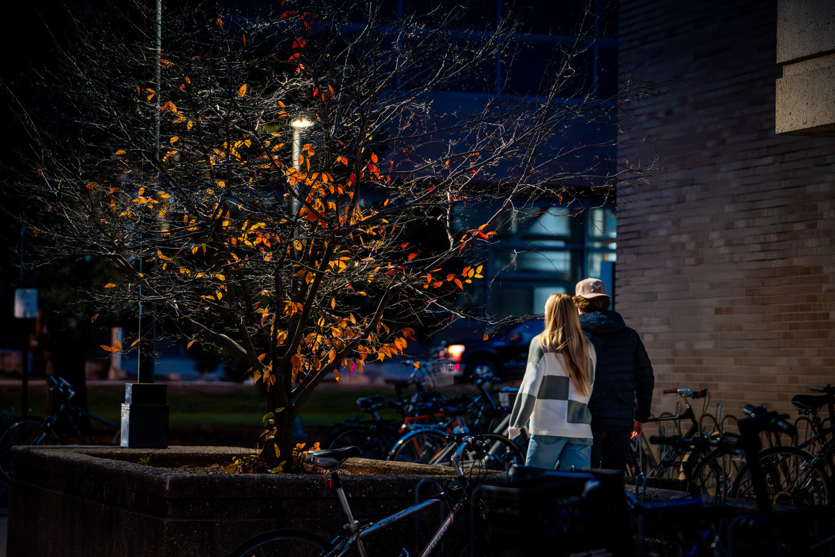 Two people walking at night with a small tree illuminated by a street light