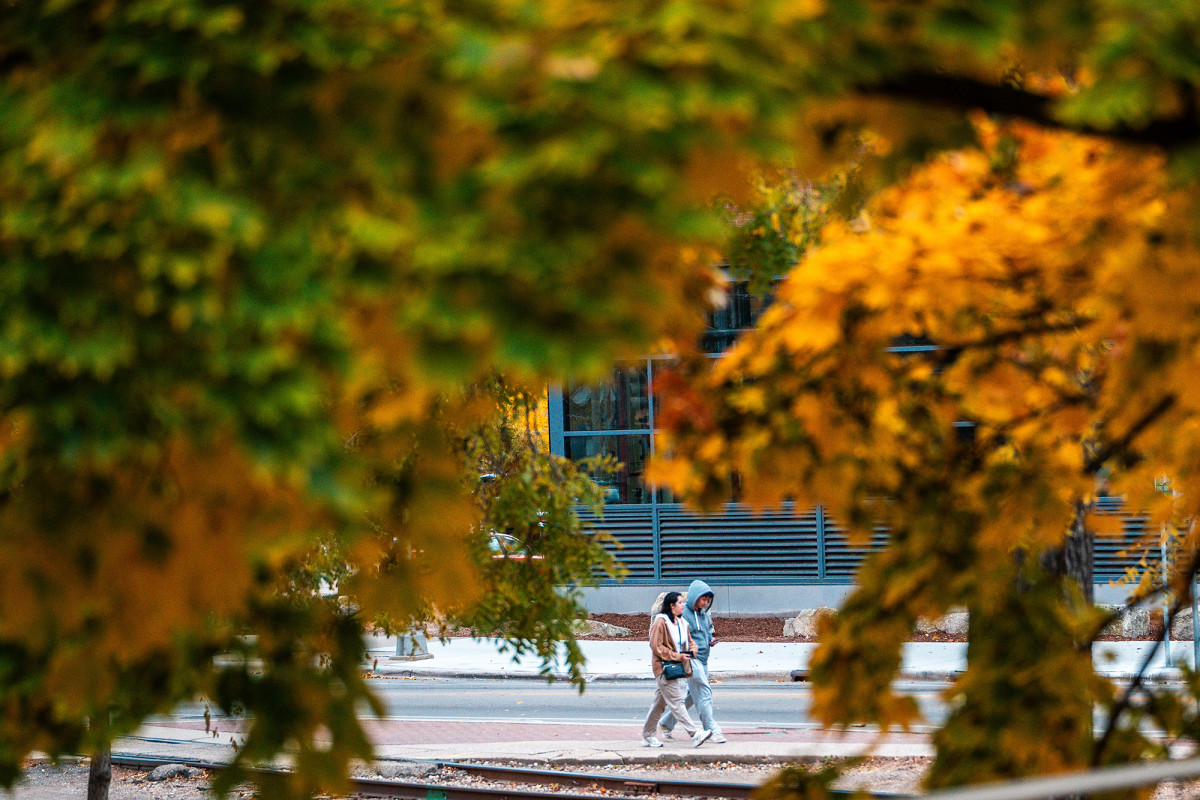 Two people walking framed by a canopy of fall leaves