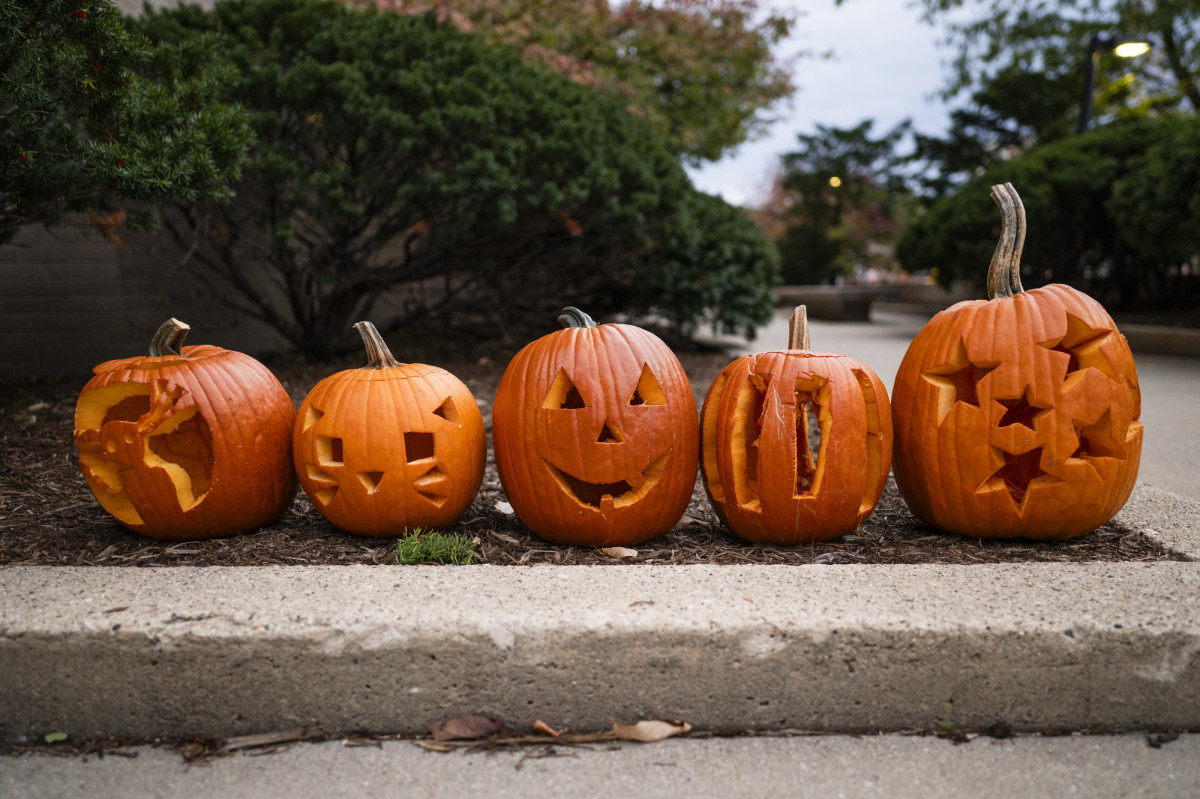 A row of carved pumpkins