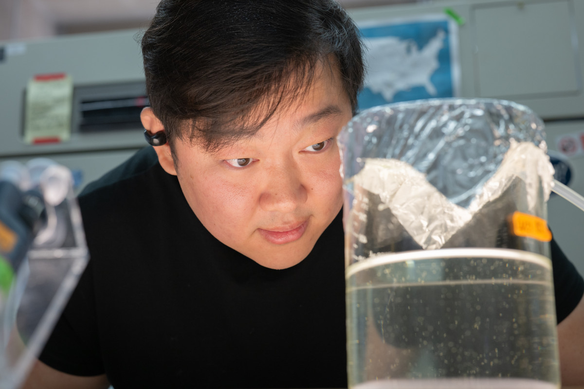 Postdoctoral researcher Zhenyong Du observes copepods swimming in a beaker of water.