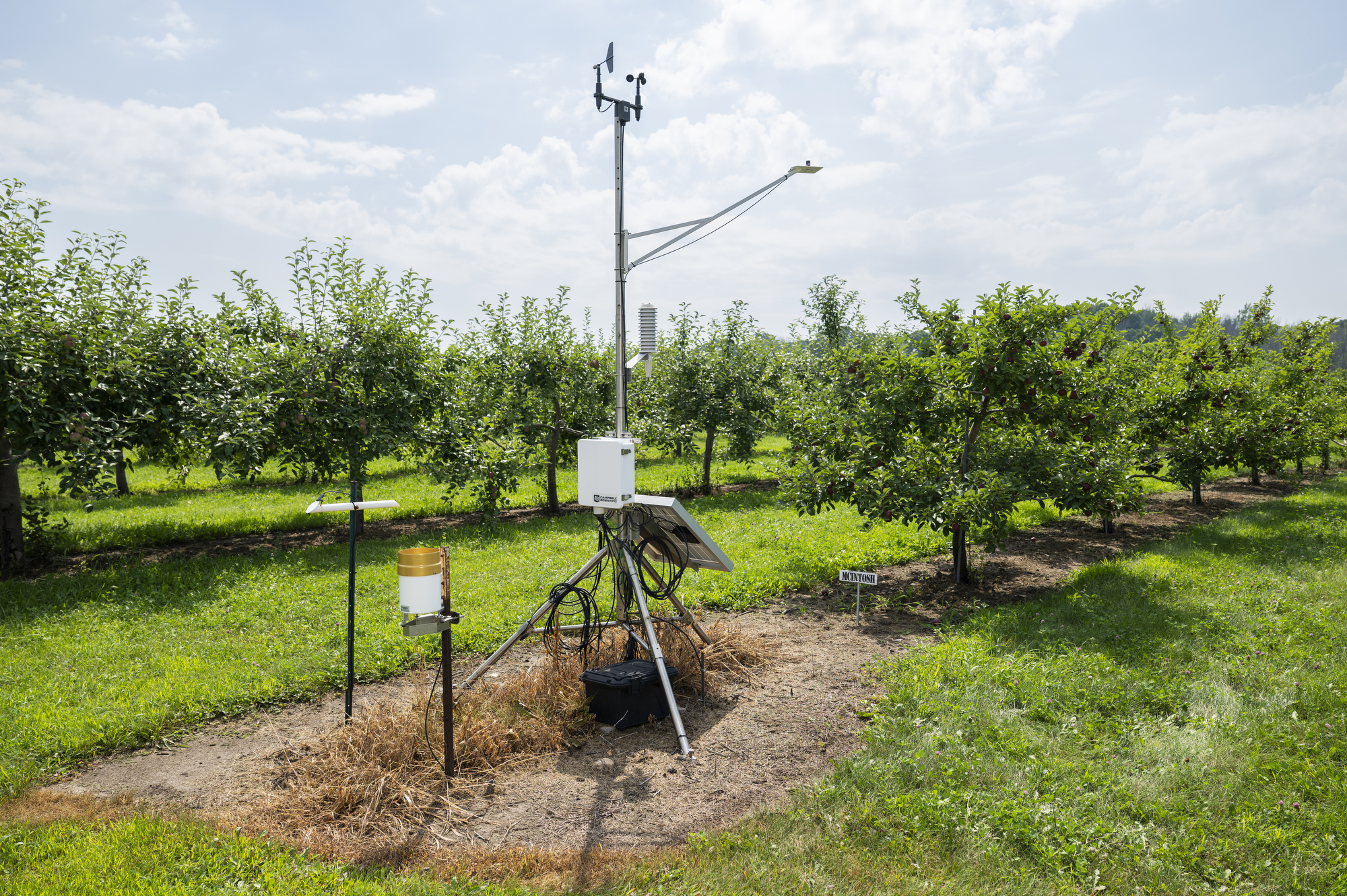 A Wisconet station sits in the middle of an apple orchard.