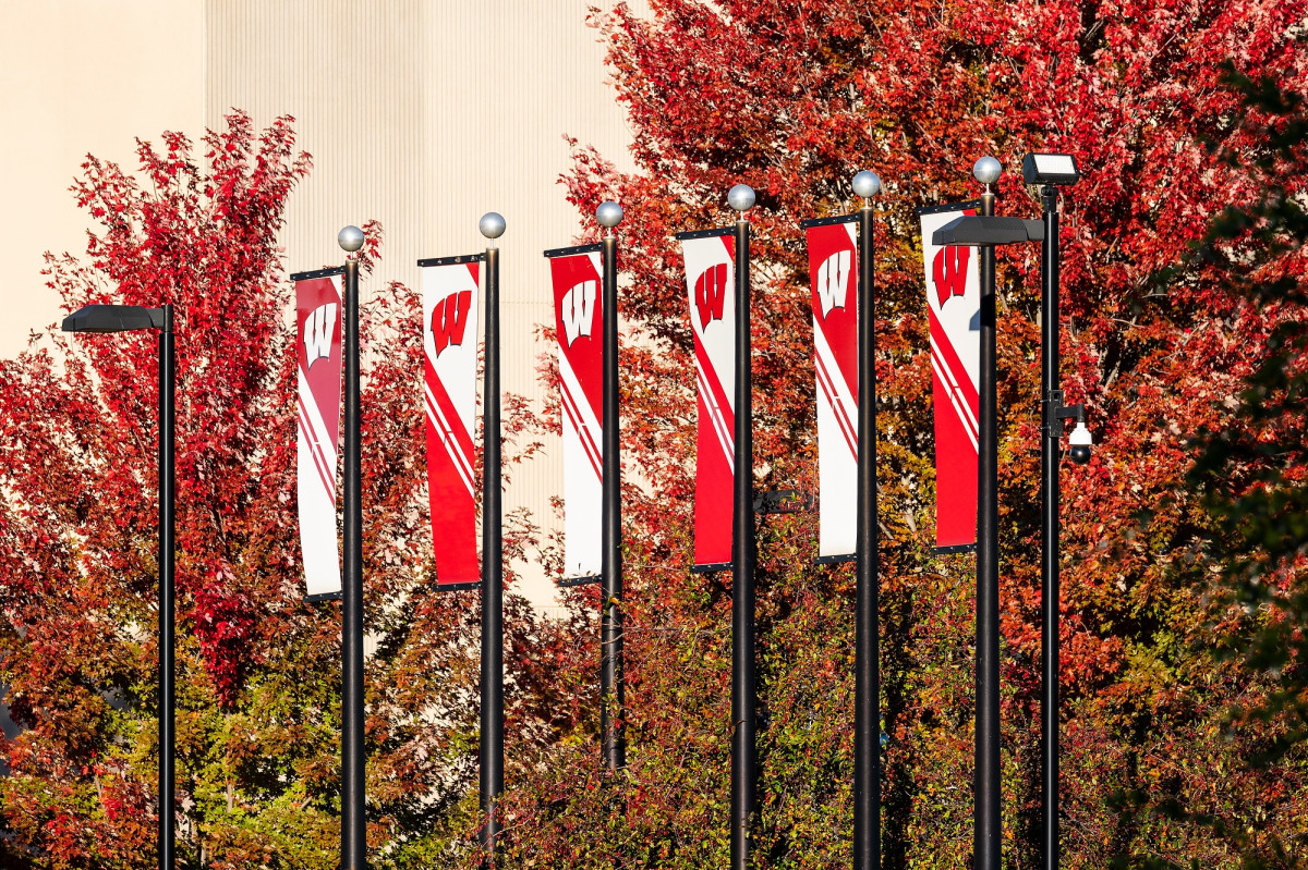 A row of athletic flags on poles with red leaves behind them