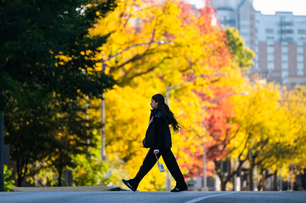 A single pedestrian walking with colorful fall trees in the background