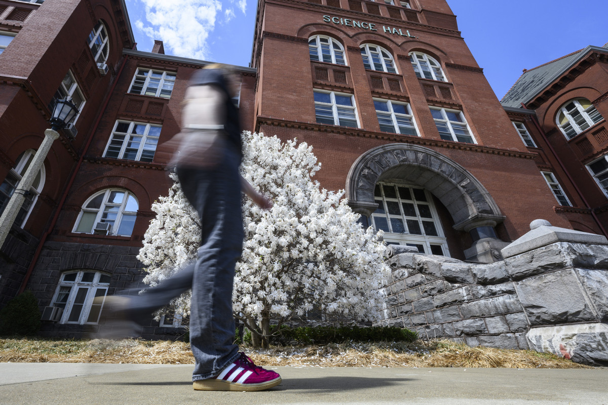 Close-up of a person's feet as they walk by a flowering tree and a large brick building