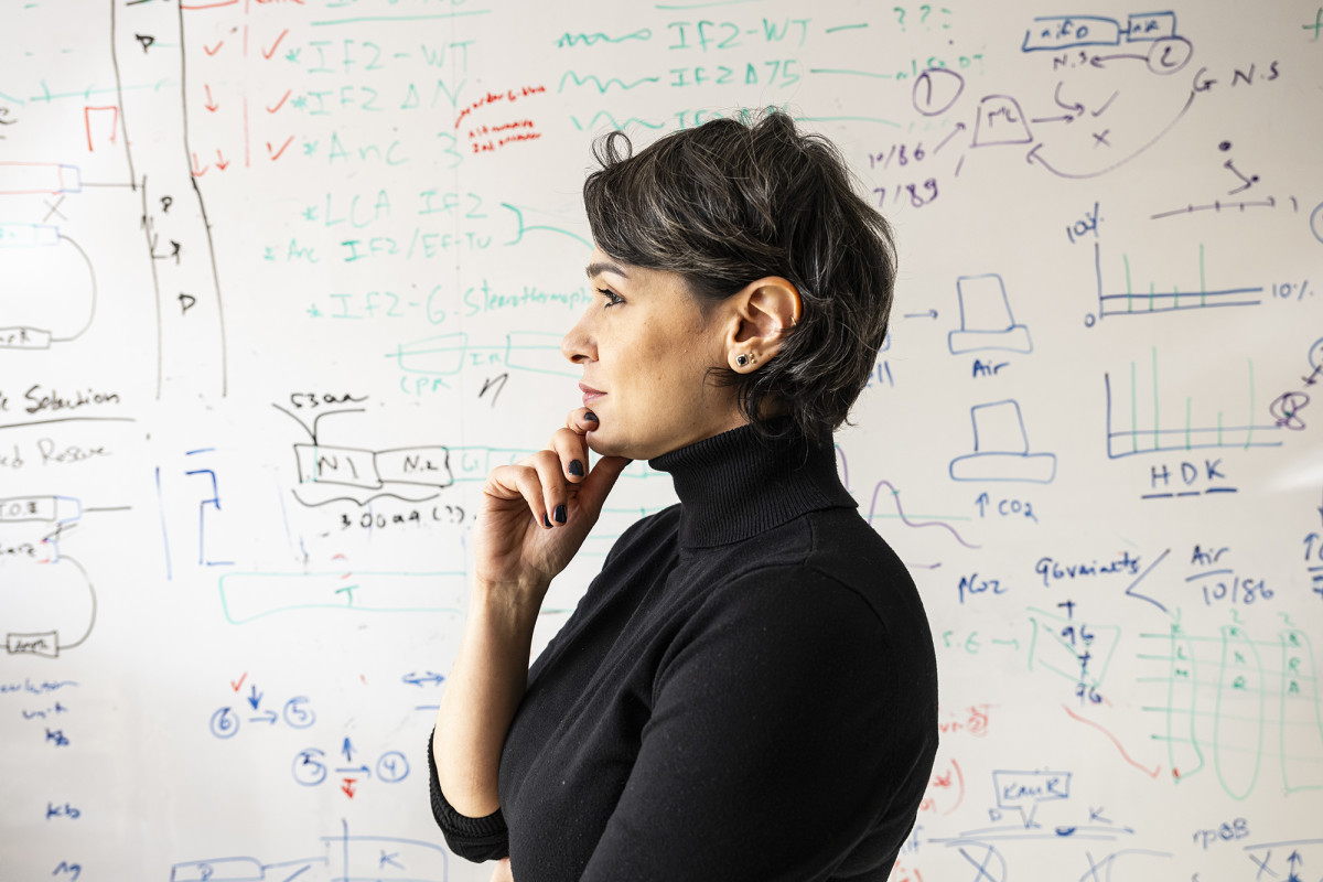 A person standing in front of a white board filled with equations, charts, and graphs