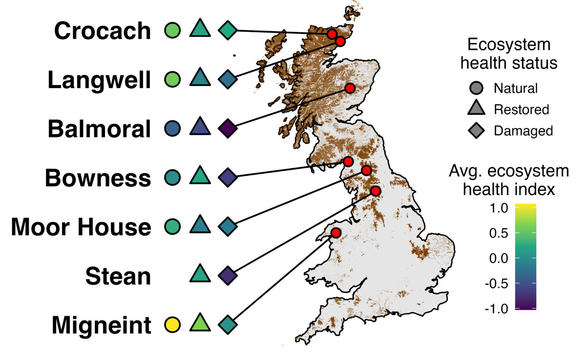 An illustrated map of the United Kingdom shows areas of peatlands across the island and the health status of those areas.