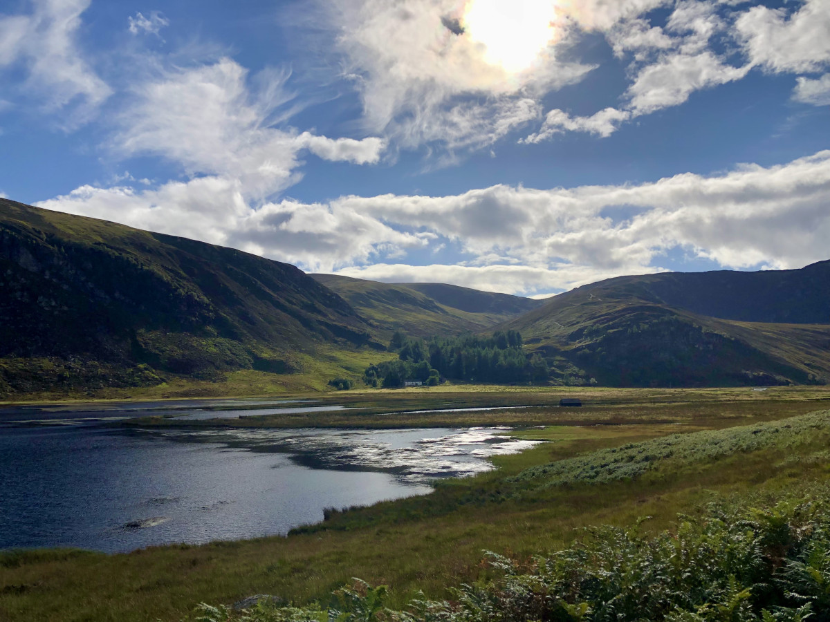 A photo showing the landscape of a peatland area in Scotland.