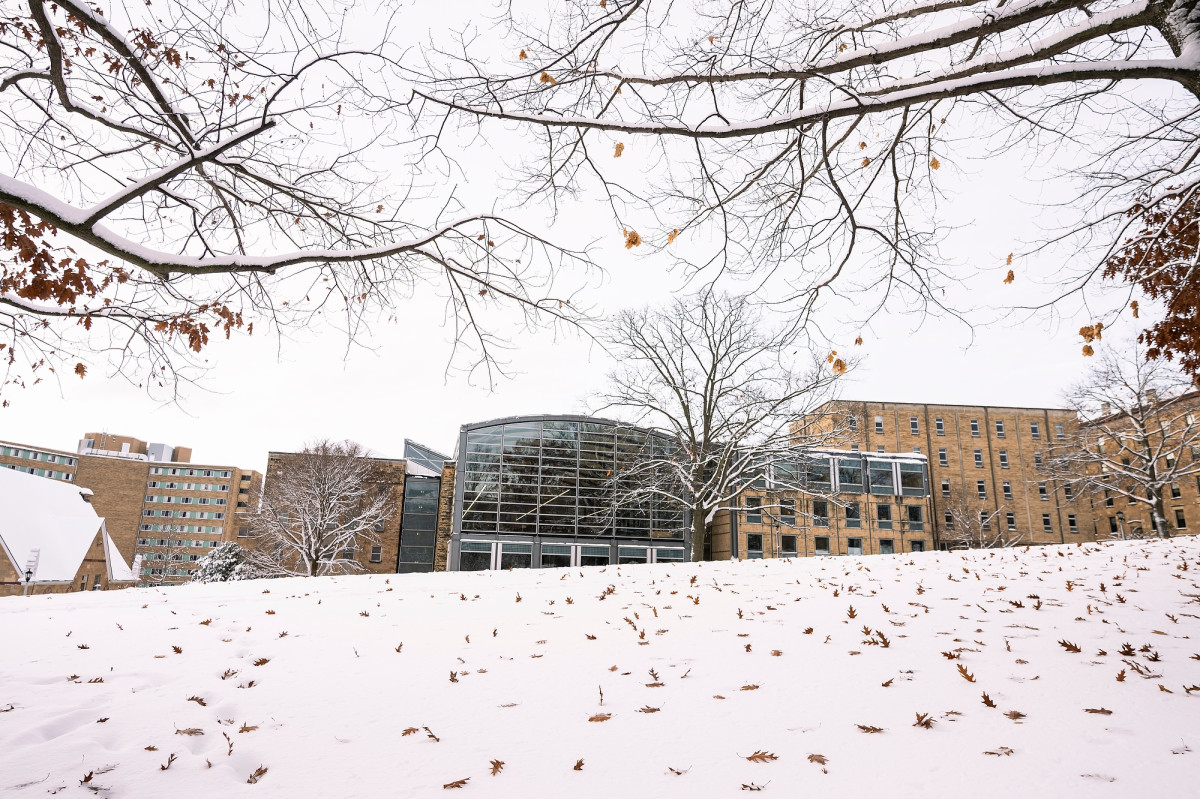 A glass building is shown, with a lawn full of snow in the front, and oak leaves upon the snow. Bare tree branches frame the photo.