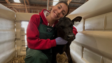 Lauren Jacobs hugs a black calf in a barn.