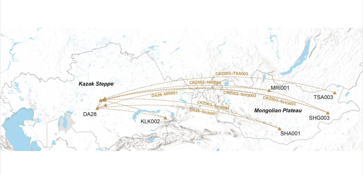 A map of central Asia with lines spanning from the Kazak Steppe to the Mongolian Plateau to illustrate the genetic relationships between the two regions.