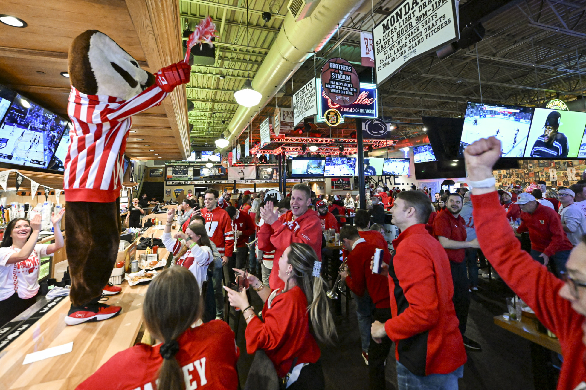 Mascot Bucky Badger stands on top of a counter in a sports bar while leading a large group of UW Badger fans in a cheer