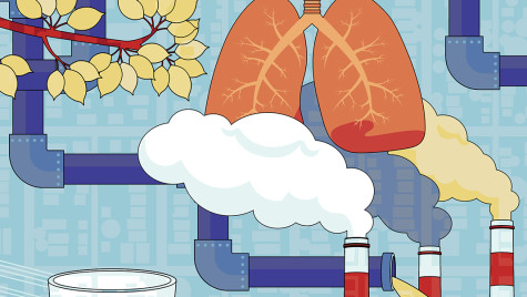 An illustration shows lungs, pipes, smoke stacks, leaves, a glass of water, clouds, and a small airplane arranged in a collage highlighting themes of environment and pollution.