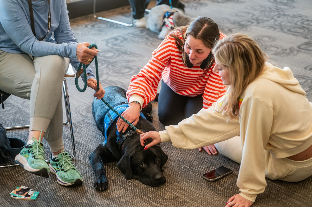 Three people sit on the floor around a large dog lying calmly on the carpet. One person holds the leash while others gently pet the dog. Chairs and personal items are visible nearby.