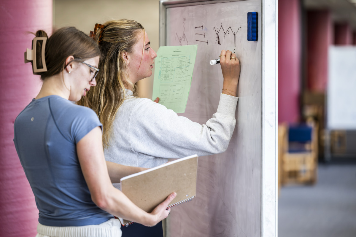 Two students stand at a dry erase board. One draws the diagram for a molecule while the other reads from her notes.