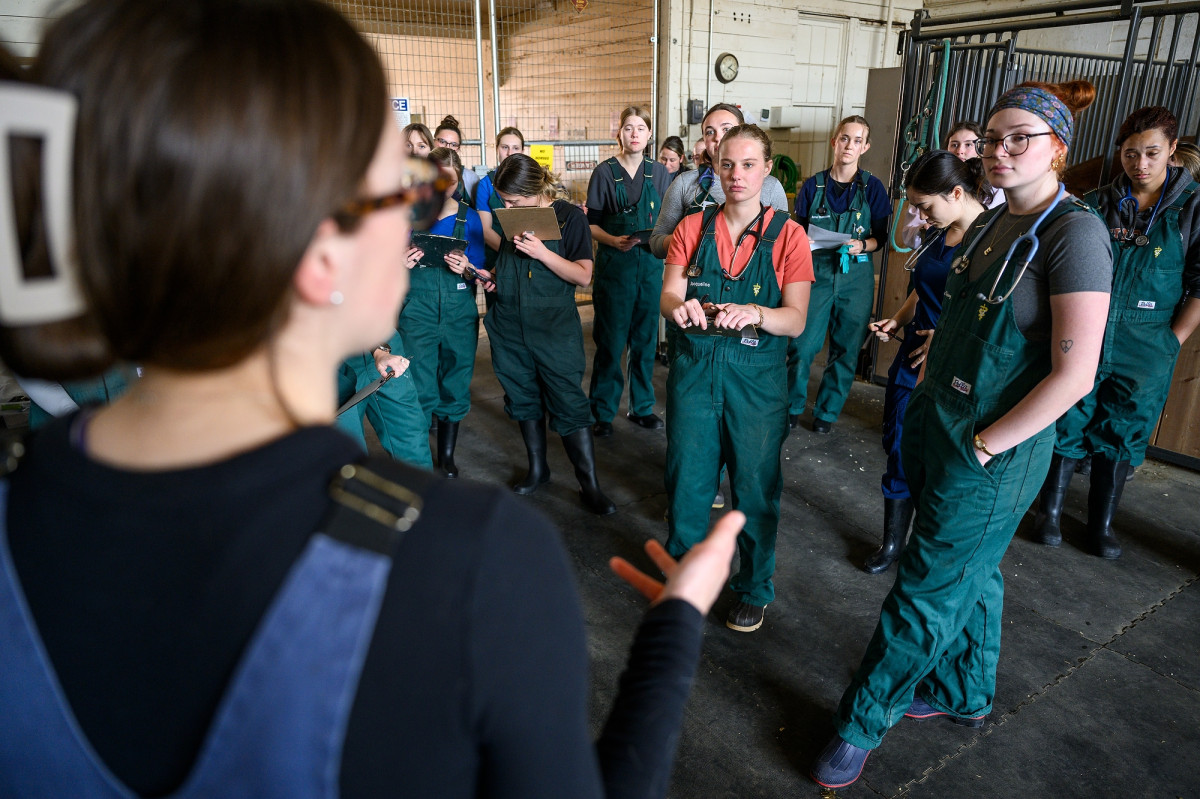 Students wearing boots and farming overalls stand in a barn listening to their clinical professor discussing the day's lesson.