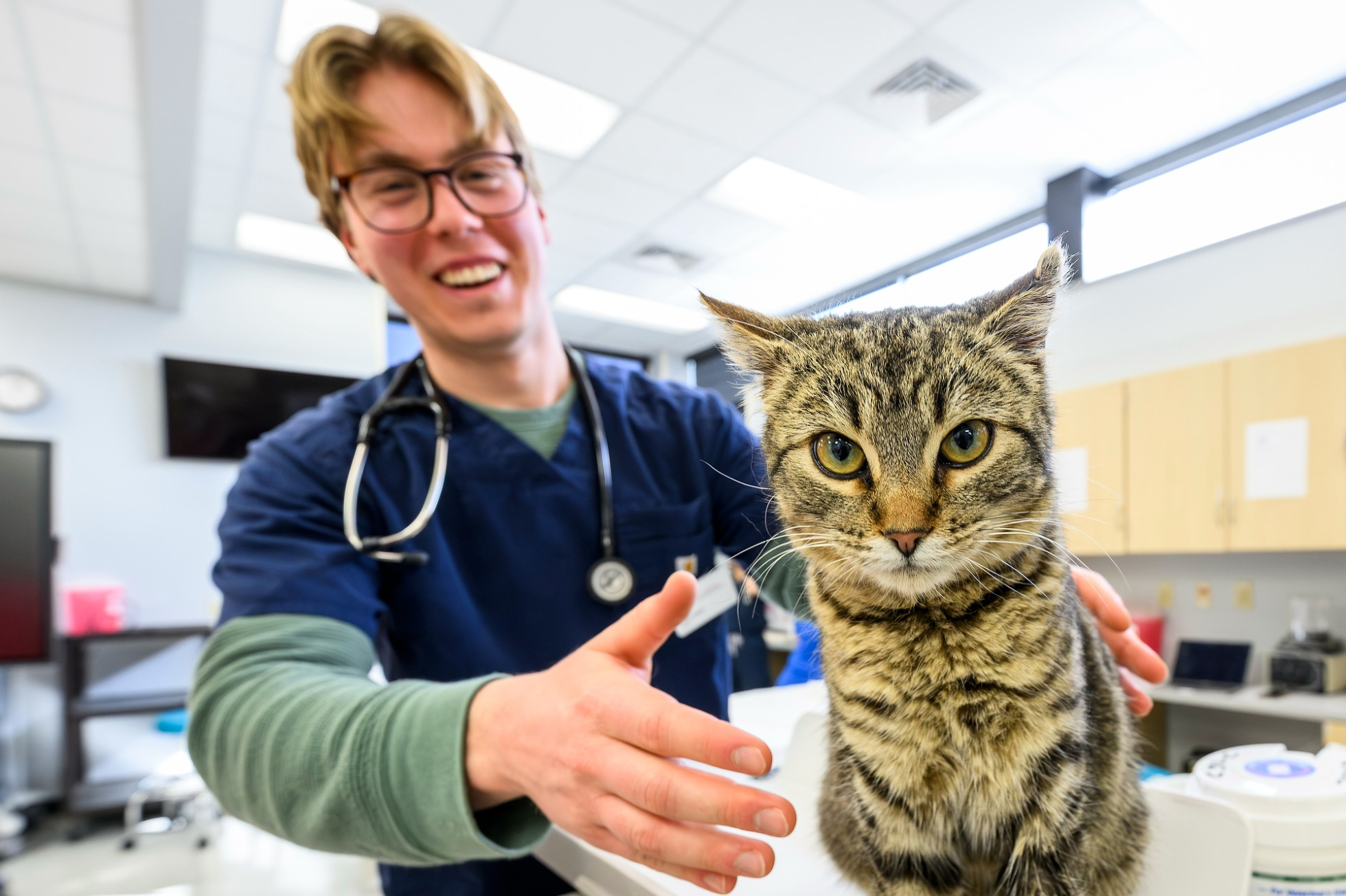 A veterinary medicine student wears medical scrubs and smiles while petting a sitting cat.