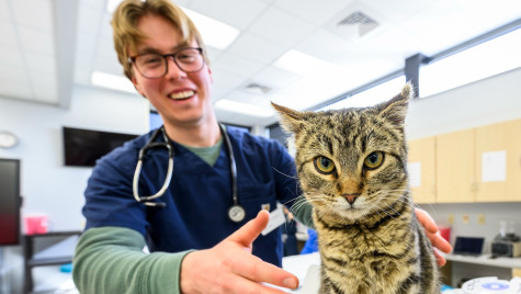 A veterinary medicine student wears medical scrubs and smiles while petting a sitting cat.