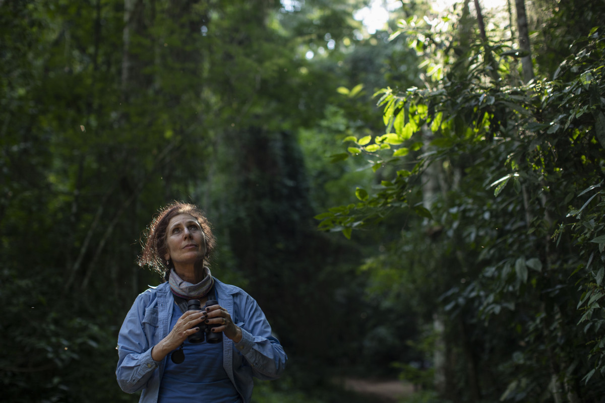 Professor Karen Strier holds binoculars and looks up, with a rainforest in the background.