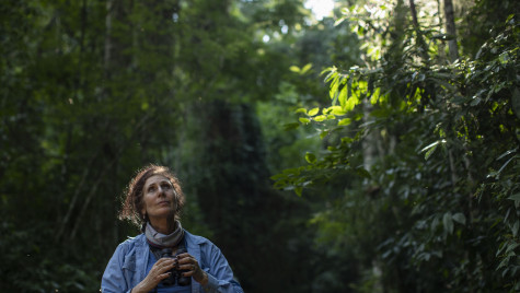 Professor Karen Strier holds binoculars and looks up, with a rainforest in the background.