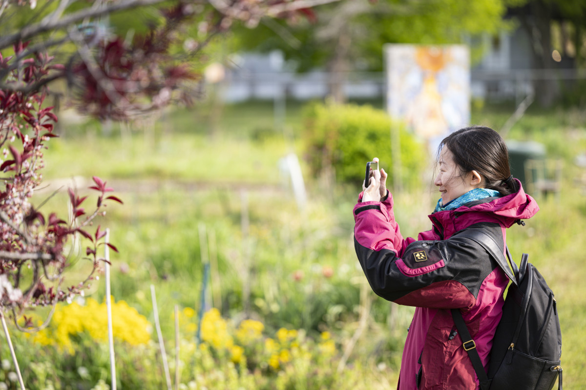 A woman takes a picture of the foliage using her phone.