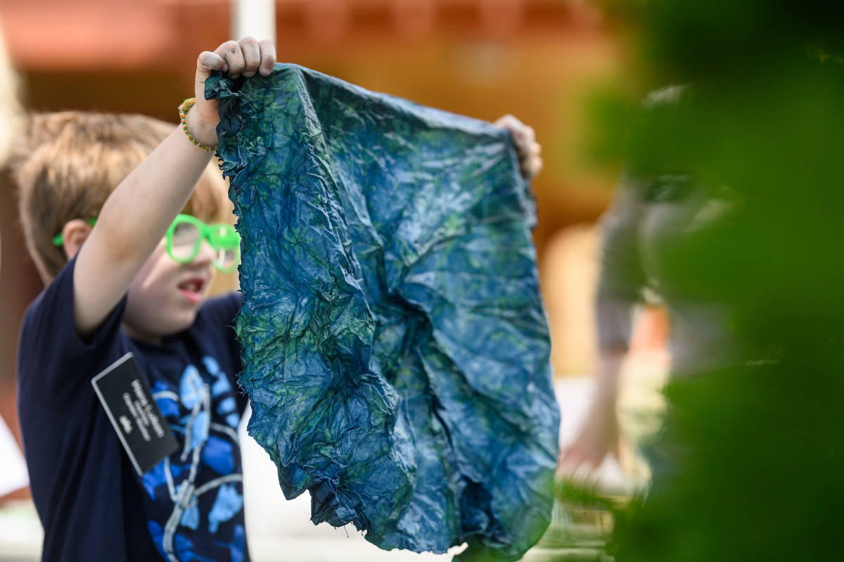 A young boy holds up a newly unfolded piece of blue-dyed fabric.