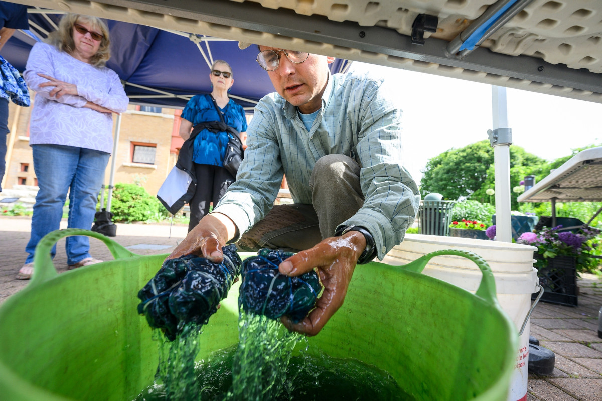 Dostal pulls two pieces of tie-dyed clothing from a large bucket of water.