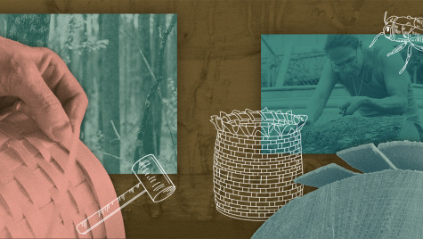 Photo illustration showing a collage of photographs: a hand holding a basket; a forest; a log; a person using a knife to pull up bark on a tree. The image contains three simple hand drawn elements: an emerald ash borer, a basket, and a mallet.