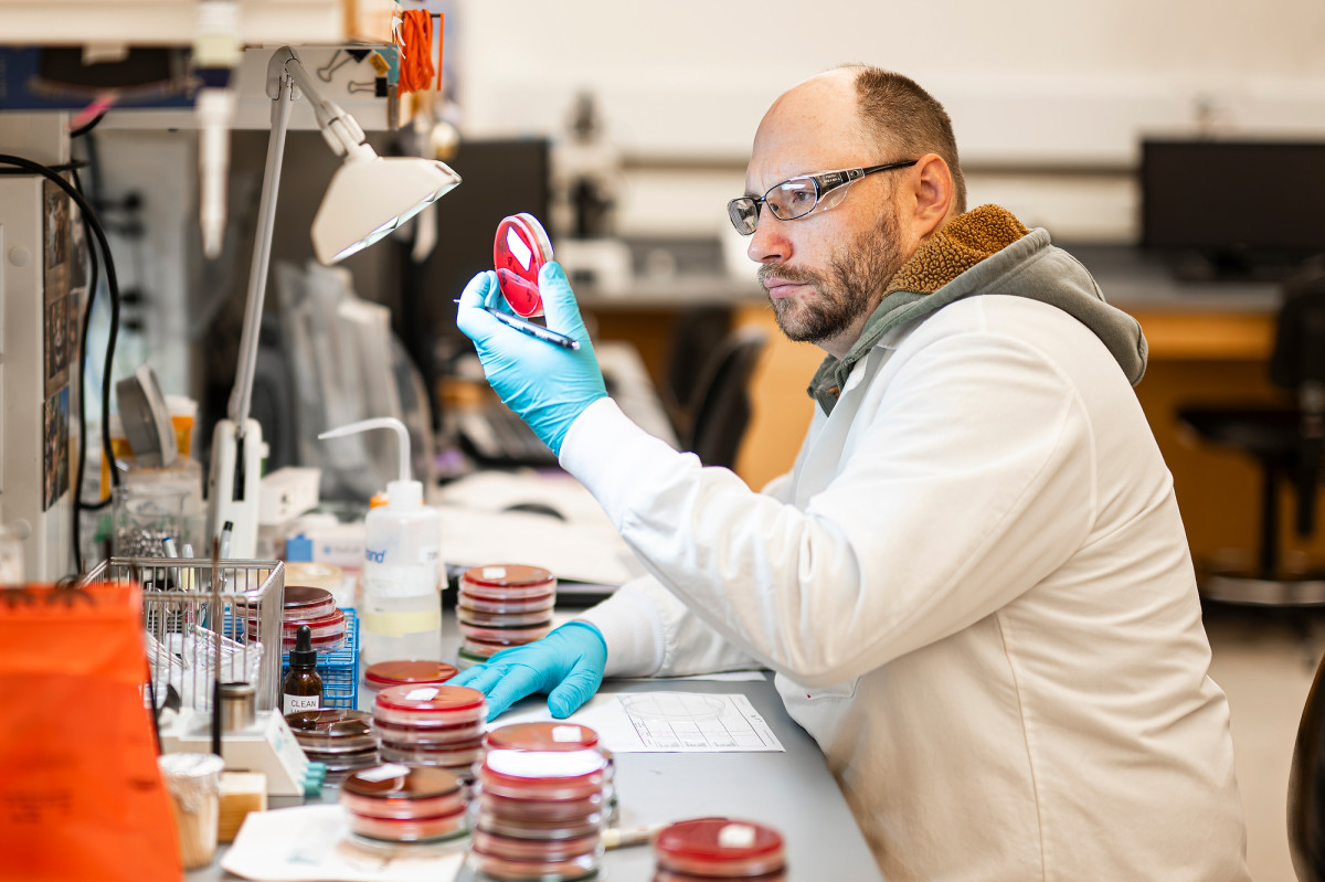 Erik Twaroski sits at a lab table with a desk lamp and evaluates a sample in a plastic covered dish under the lamp.