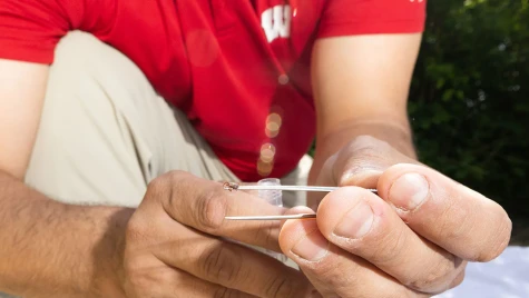 A man kneels on the ground and holds a tick between tweezers close the camera.